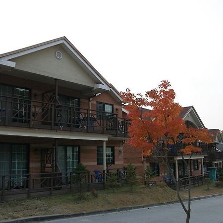 Hwangto Green Village Pension يونغين المظهر الخارجي الصورة