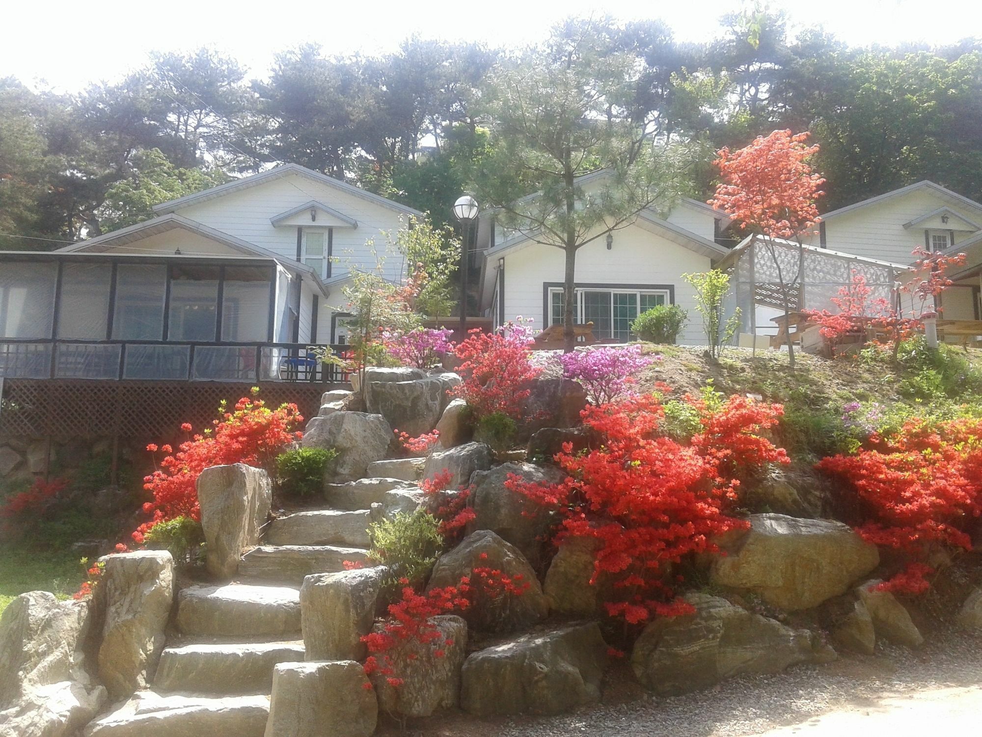 Hwangto Green Village Pension يونغين المظهر الخارجي الصورة